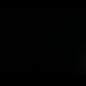 Meet your Posher, Brylee